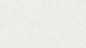 MDN26GP0398